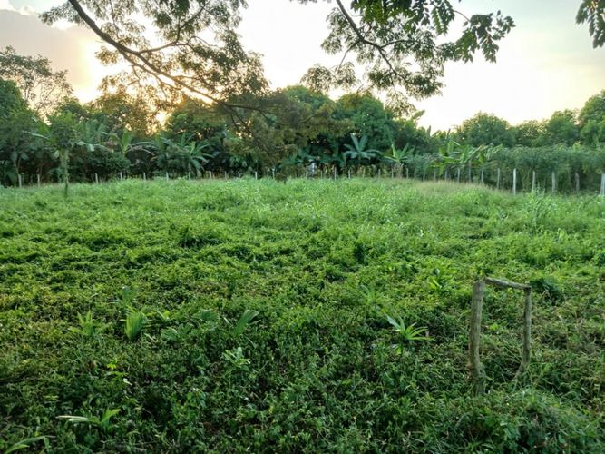 Lote en venta en Los Garzones, Montería, 1263 m² · foto 11 de 12