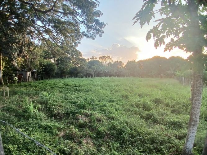 Lote en venta en Los Garzones, Montería, 1263 m² · foto 12 de 12