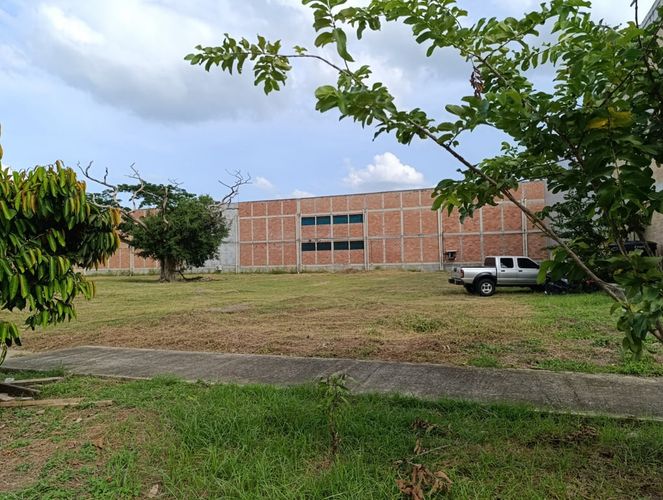 Lote en arriendo en Los Pericos, Montería, 1492 m² · foto 8 de 12