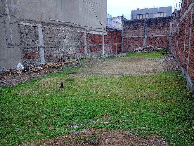 Lote en venta en La Flora, Cali, 278 m² · foto 14 de 18