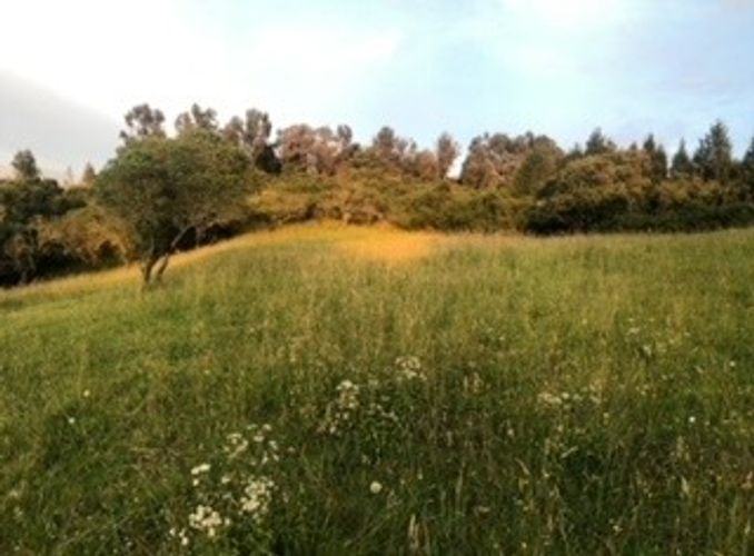 Lote en venta en Altos De Yerbabuena, Chía, 11249 m² · foto 2 de 7