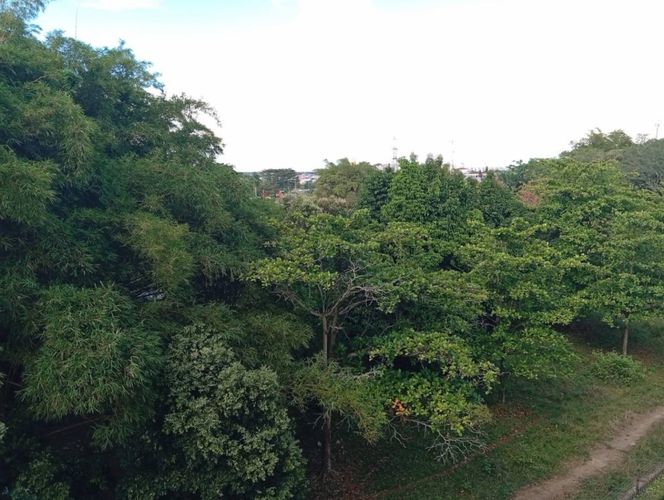 Apartamento de 2 alcobas en venta en Alfaguara, Jamundí, 111 m² · foto 2 de 24