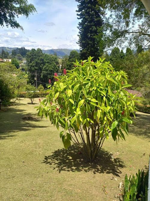 Finca en arriendo en Toldas, Guarne, 200 m² · foto 22 de 24