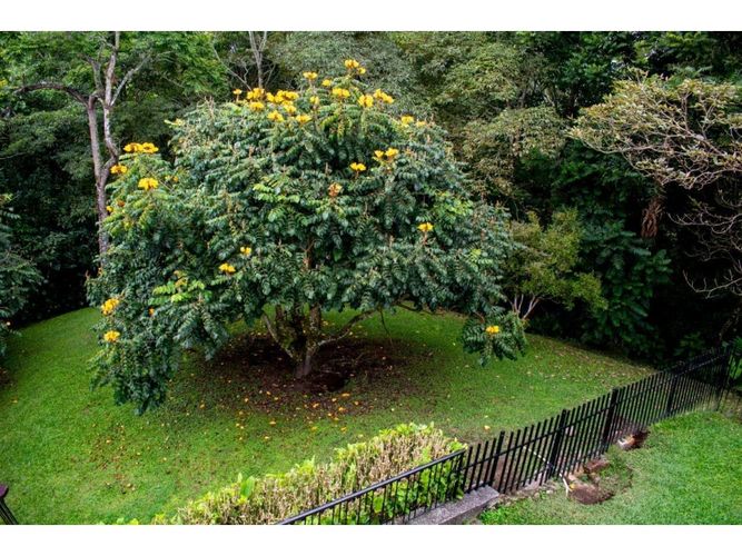 Casa de 4 alcobas en venta en Medio Ambiente, Armenia, 500 m² · foto 13 de 24
