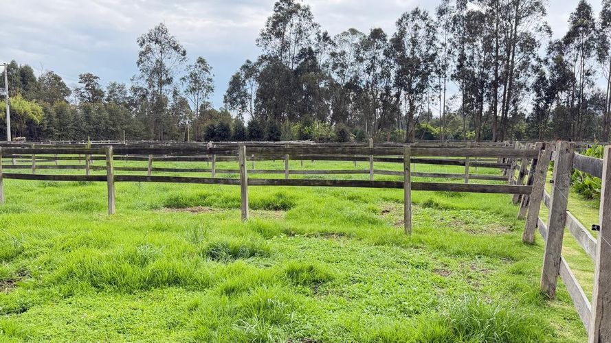 Finca en venta en Pinos Polo Club, Mosquera, 26793 m² · foto 14 de 19