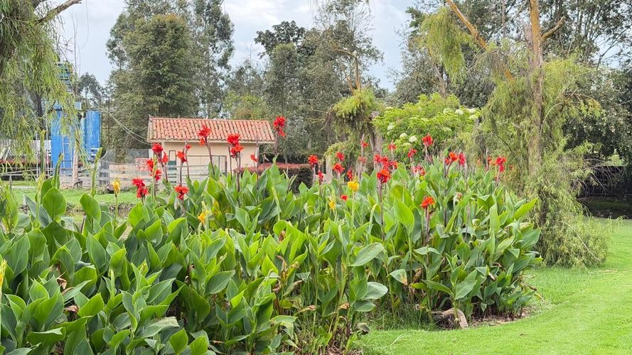 Finca en venta en Pinos Polo Club, Mosquera, 26793 m² · foto 19 de 19