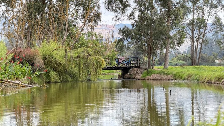 Finca en venta en Ub El Trebol, Mosquera, 17314 m² · foto 7 de 24