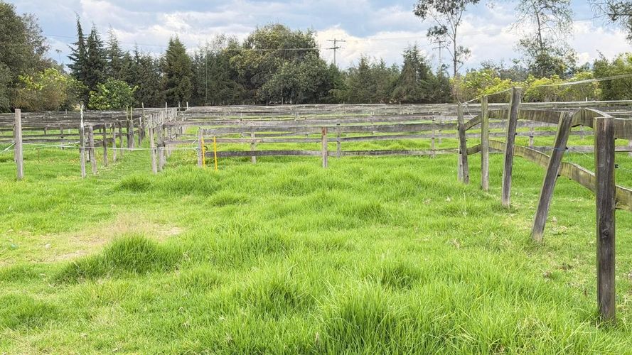 Finca en venta en Ub El Trebol, Mosquera, 17314 m² · foto 19 de 24