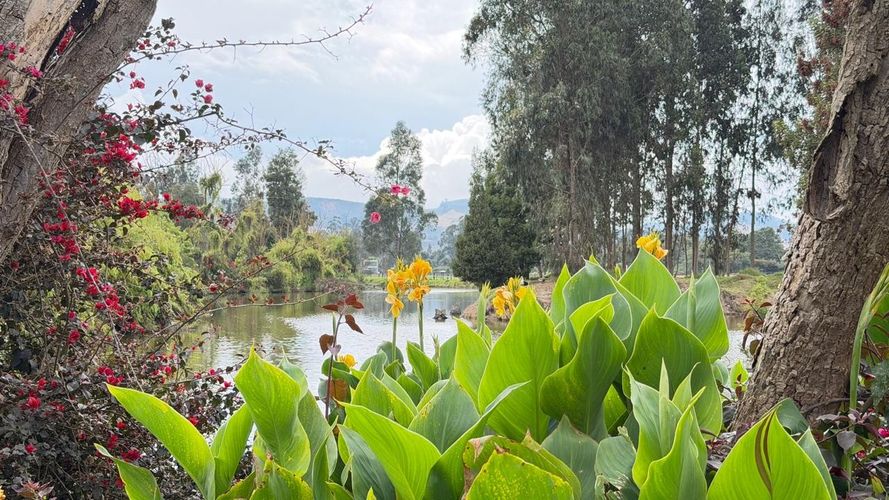 Finca en venta en Ub El Trebol, Mosquera, 17314 m² · foto 23 de 24