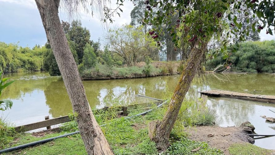 Finca en venta en Ub El Trebol, Mosquera, 17314 m² · foto 24 de 24