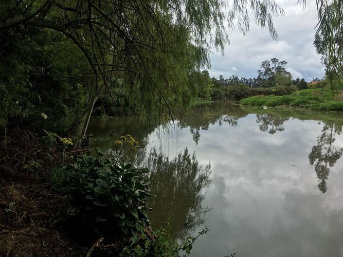 Finca en venta en Pinos Polo Club, Mosquera, 18389 m² · foto 4 de 21