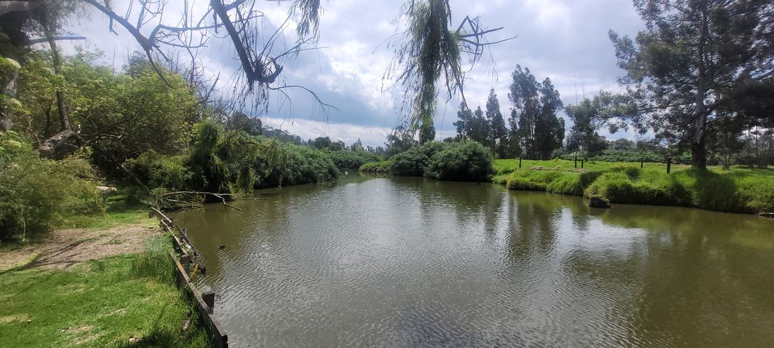 Finca en venta en Pinos Polo Club, Mosquera, 18389 m² · foto 16 de 21