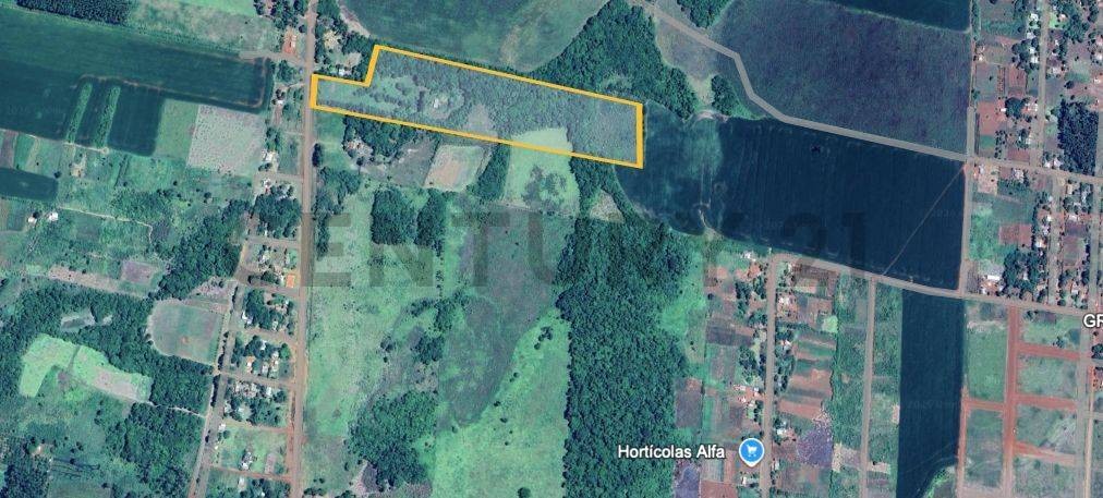 Excepcional propiedad rural de 4.6 hectáreas en Minga Guazú, estratégicamente ubicada a solo 1 km de la Ruta Nacional N° 2. Ideal para el desarrollo de loteamientos y proyectos residenciales de alto potencial. — foto 2