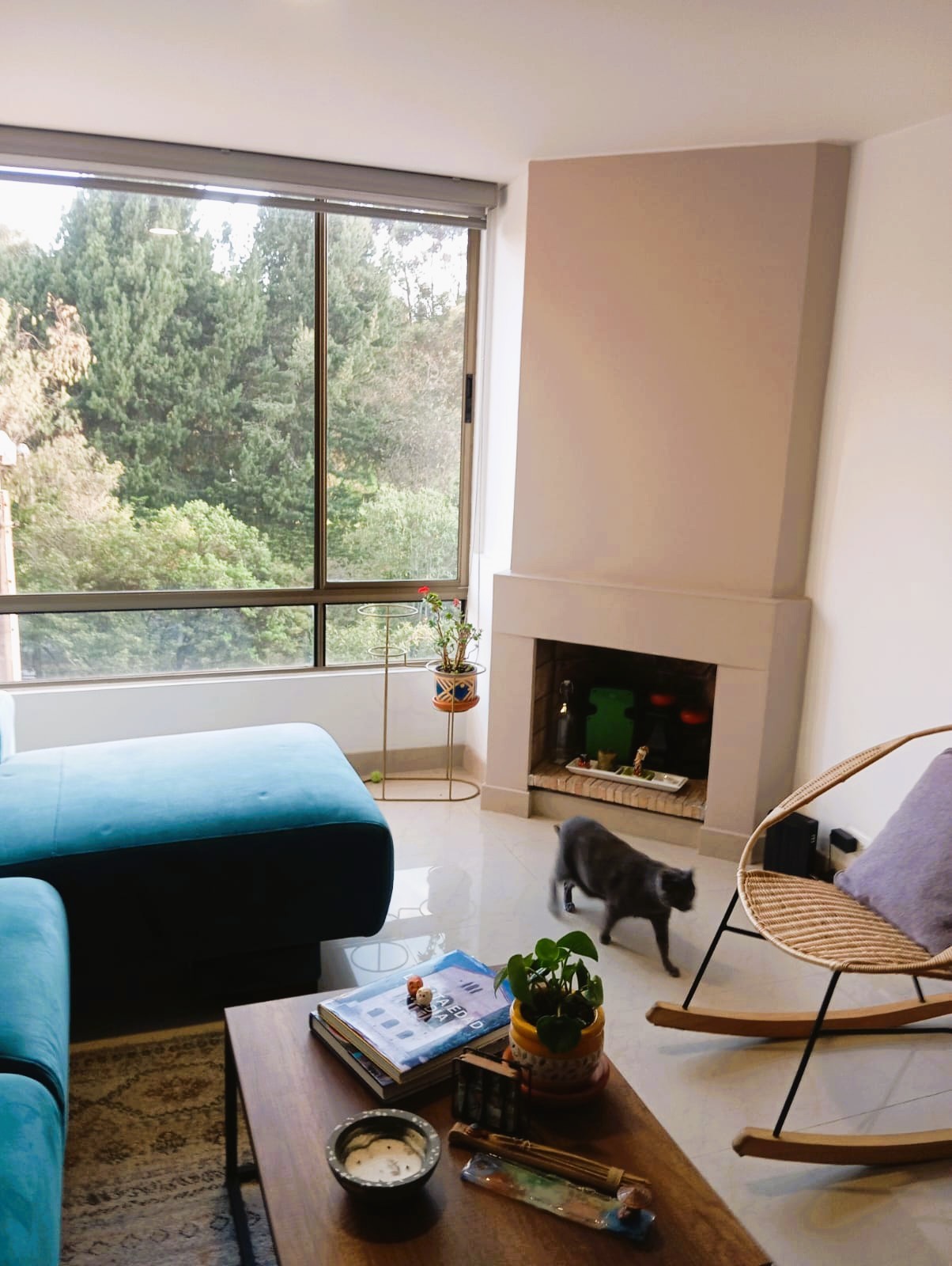 Apartamento en venta en El Contador, Bogotá · foto 2 de 15