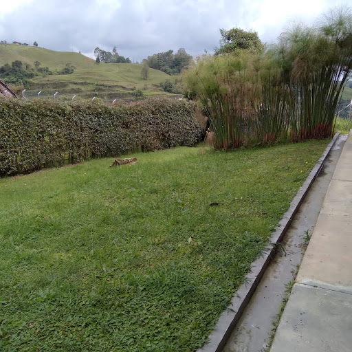Casa en venta en Tribunas Corcega, Pereira · foto 18 de 21