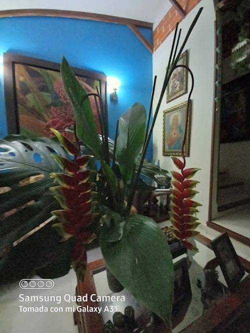 Casa de 4 alcobas en venta en Sector Plaza De Bolivar, Pereira, 300 m² · foto 16 de 24