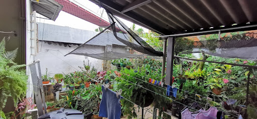 Casa en venta en San Jose Sur, Pereira · foto 21 de 21