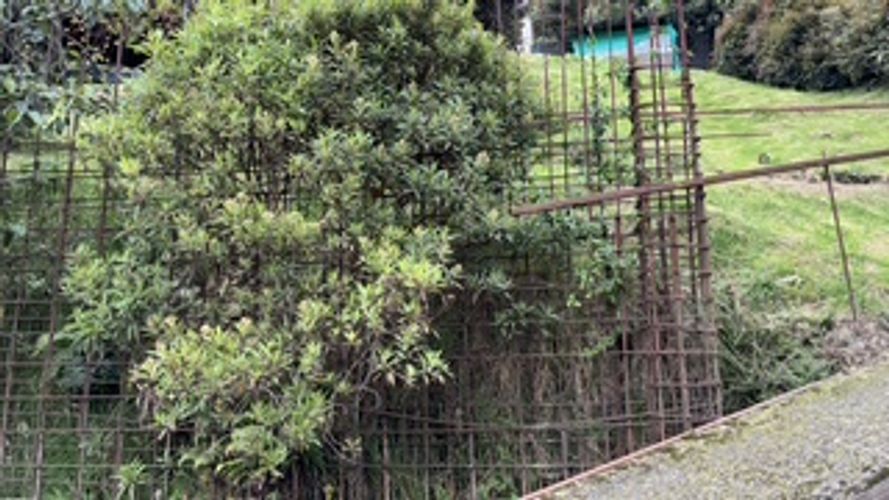 Lote en venta en El Salitre, La Calera, 2693 m² · foto 8 de 23