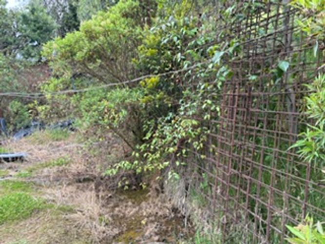 Lote en venta en El Salitre, La Calera, 2693 m² · foto 10 de 23