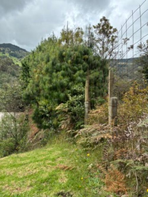 Lote en venta en El Salitre, La Calera, 2693 m² · foto 19 de 23