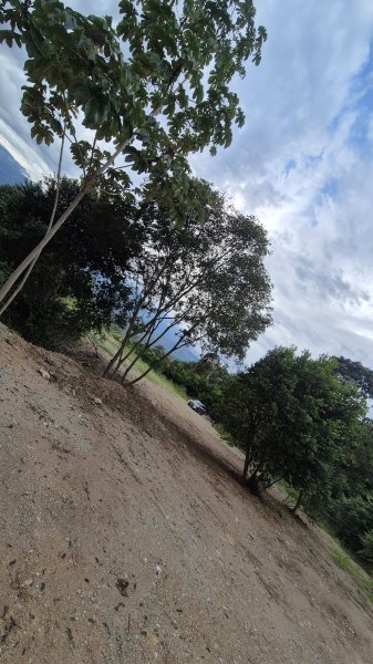 Land in El espinal (3300 m²) for Sale - 2