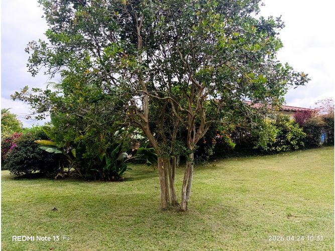 Finca en venta en San Nicolas, Rionegro, 240 m² · foto 5 de 24