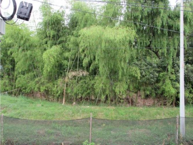 Casa de 2 alcobas en venta en Paso De La Bolsa, Jamundí, 70 m² · foto 16 de 24