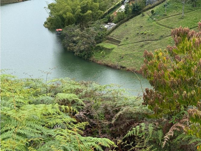Lote en venta en Entreamigos, Sabaneta, 5000 m² · foto 23 de 24