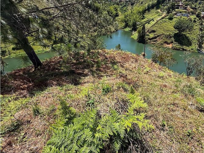 Lote en venta en Entreamigos, Sabaneta, 4026 m² · foto 3 de 5