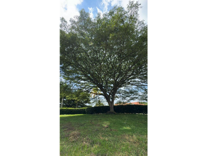 Lote en venta en Cerritos, Pereira, 2635 m² · foto 5 de 12