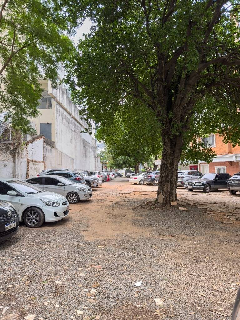 VENDO IMPORTANTE PROPIEDAD SOBRE AVDA. AVIADORES DEL CHACO — foto 3