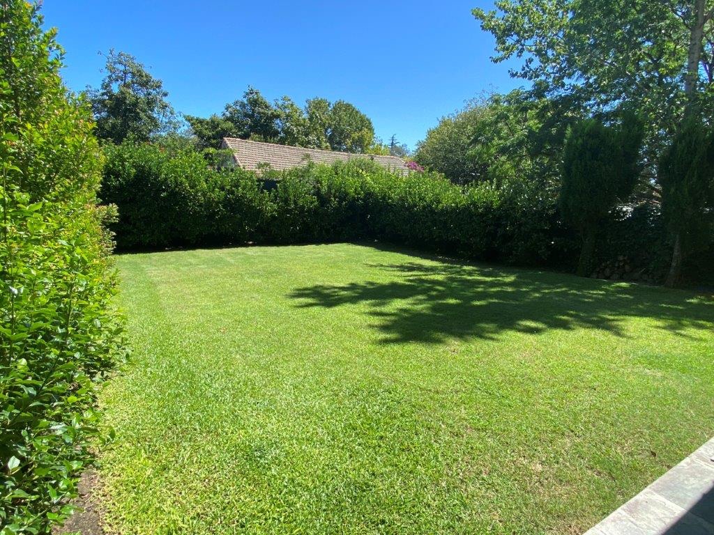 Exclusiva Planta Baja con Jardín Privado. Impecable y Amplio. Se Ofrece Amueblado o Sin Amueblar.