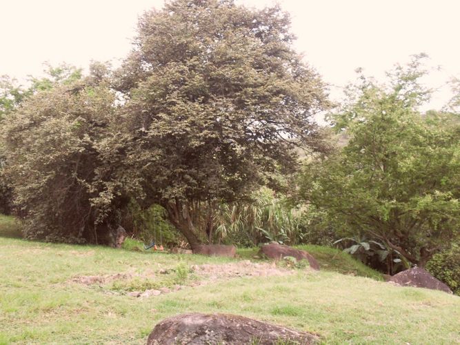 Lote en venta en Miravalle Dapa, Yumbo, 2006 m² · foto 4 de 12