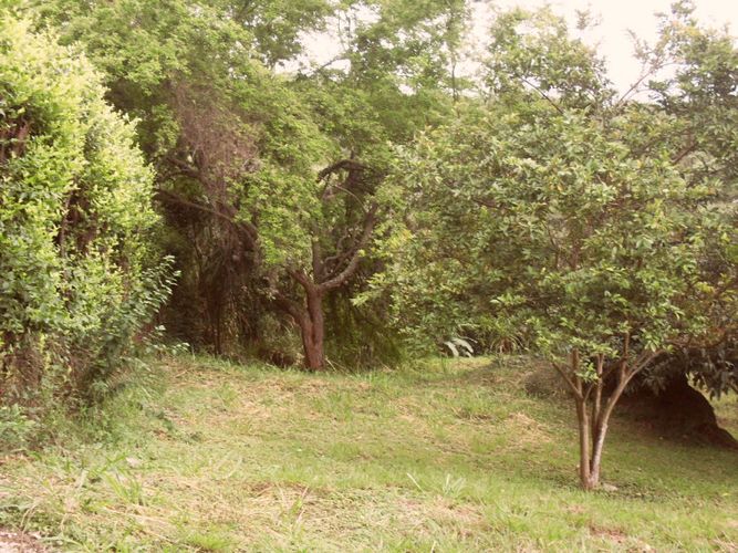 Lote en venta en Miravalle Dapa, Yumbo, 2006 m² · foto 6 de 12