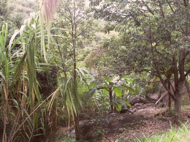 Lote en venta en Miravalle Dapa, Yumbo, 2006 m² · foto 9 de 12