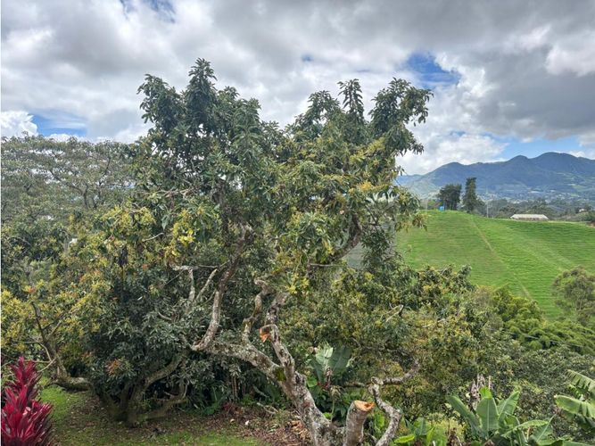 Finca en venta en Samaria, El Carmen de Viboral, 310 m² · foto 2 de 24