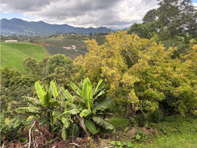 Finca en venta en Samaria, El Carmen de Viboral, 310 m² · foto 15 de 24