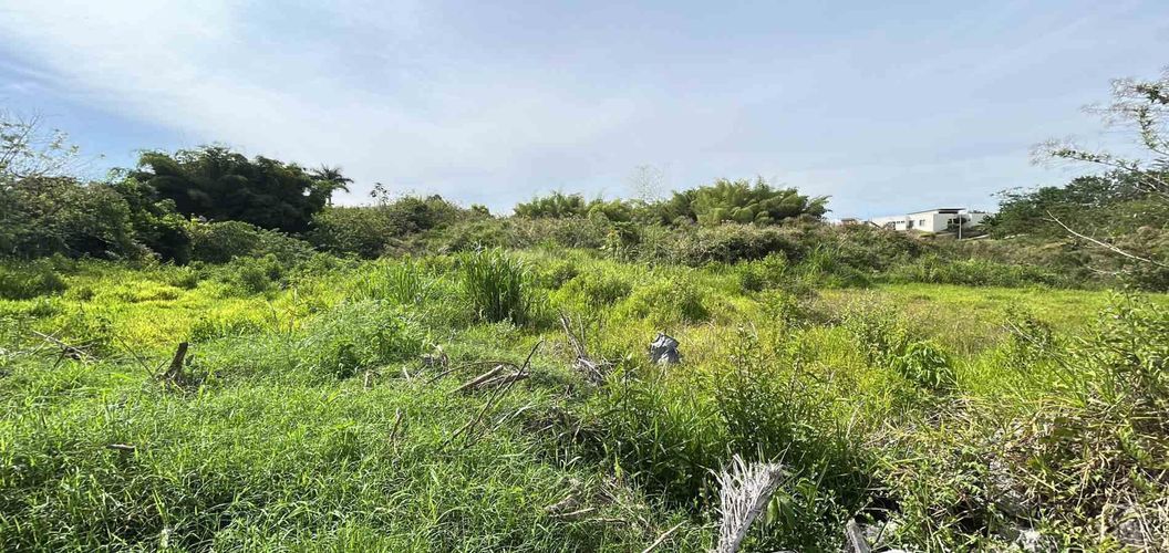 Lote en venta en Cerritos, Pereira · foto 2 de 19