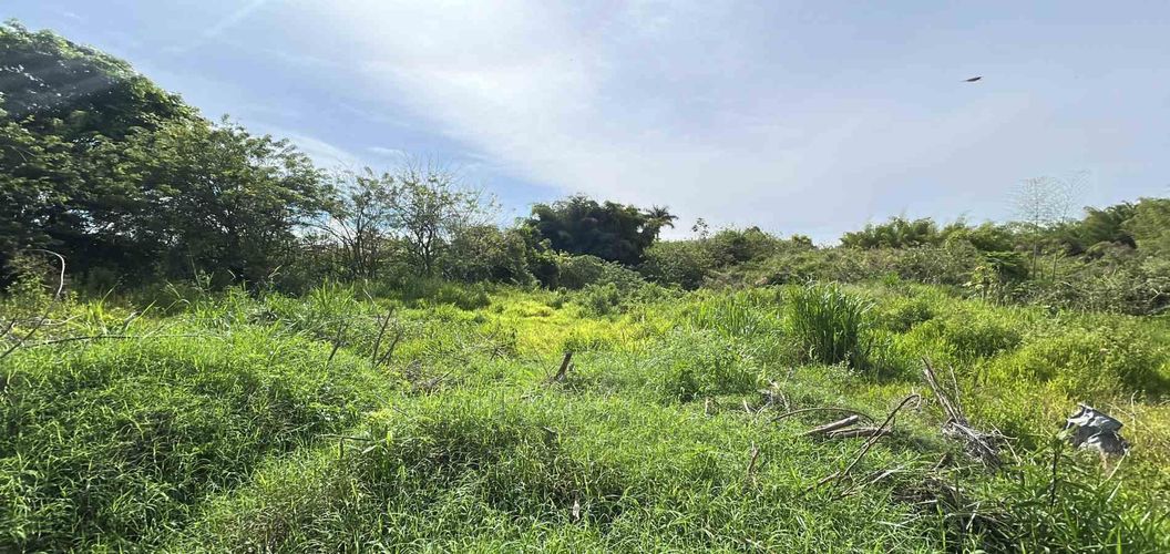 Lote en venta en Cerritos, Pereira · foto 3 de 19