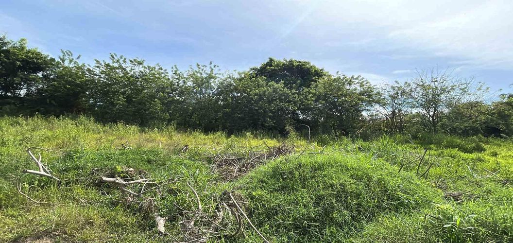 Lote en venta en Cerritos, Pereira · foto 4 de 19
