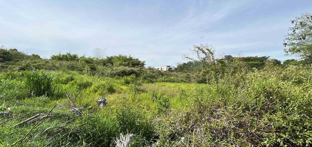 Lote en venta en Cerritos, Pereira · foto 5 de 19