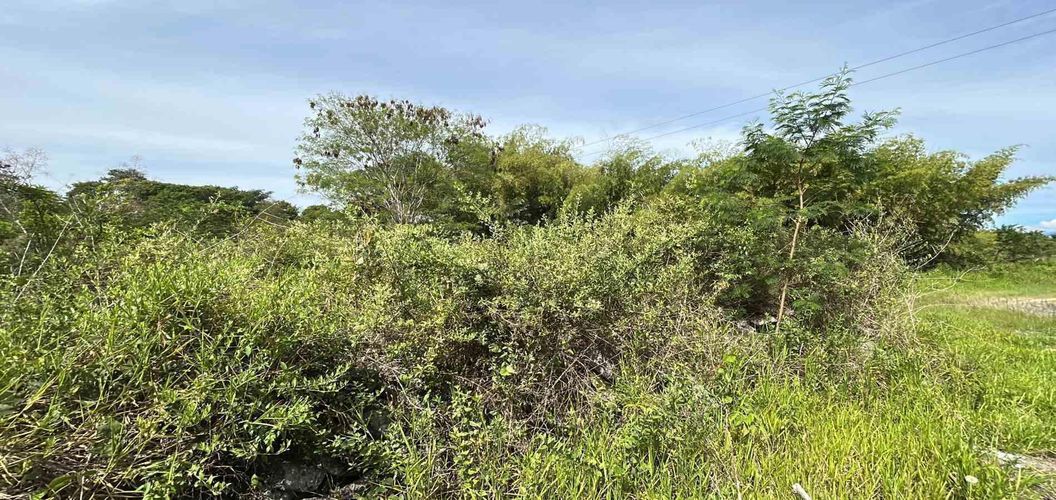 Lote en venta en Cerritos, Pereira · foto 6 de 19