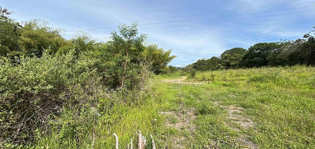 Lote en venta en Cerritos, Pereira · foto 7 de 19