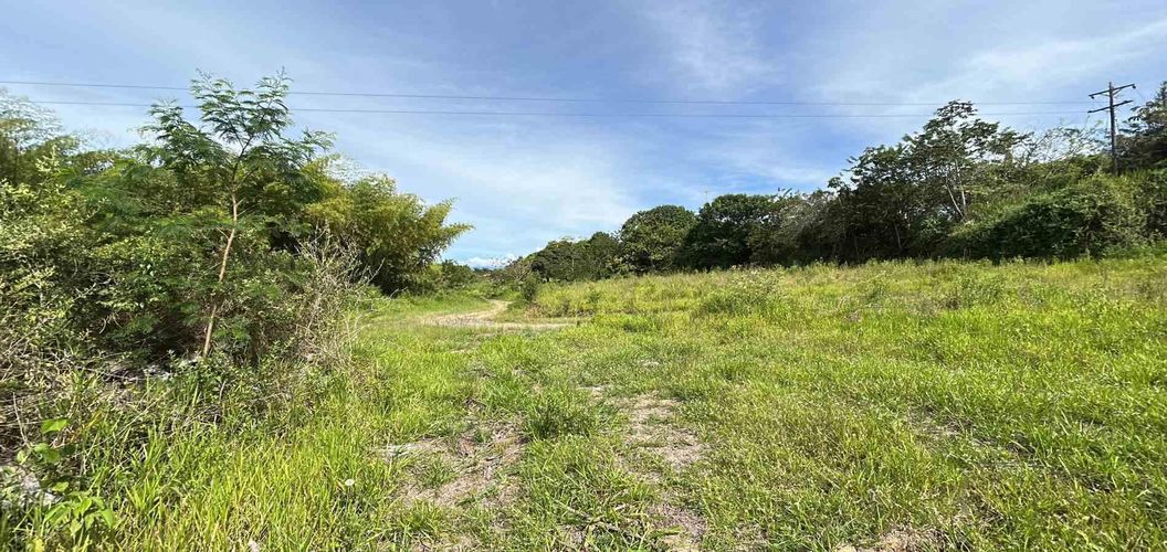 Lote en venta en Cerritos, Pereira · foto 8 de 19