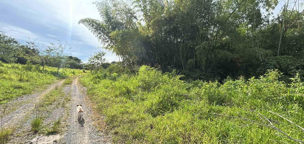 Lote en venta en Cerritos, Pereira · foto 9 de 19