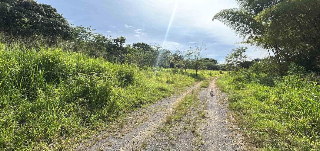Lote en venta en Cerritos, Pereira · foto 10 de 19