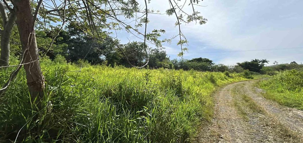 Lote en venta en Cerritos, Pereira · foto 11 de 19