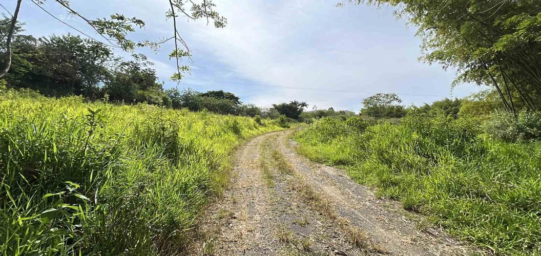 Lote en venta en Cerritos, Pereira · foto 12 de 19