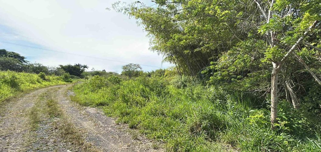 Lote en venta en Cerritos, Pereira · foto 13 de 19