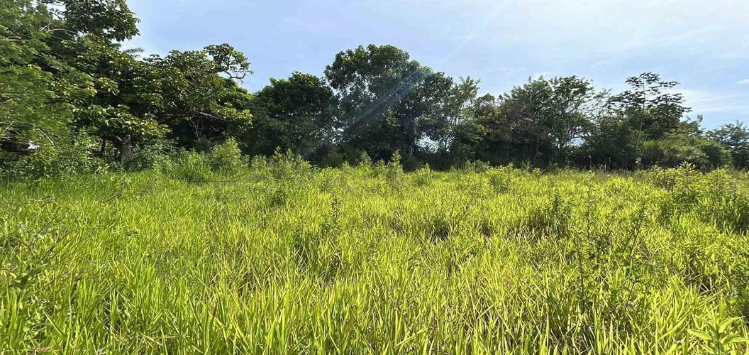 Lote en venta en Cerritos, Pereira · foto 14 de 19